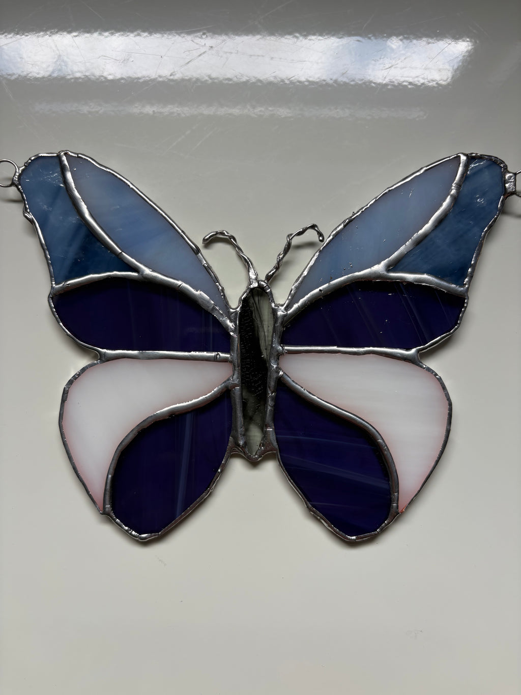 Blue butterfly