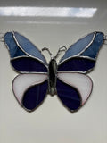 Blue butterfly