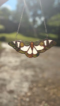 The Moth