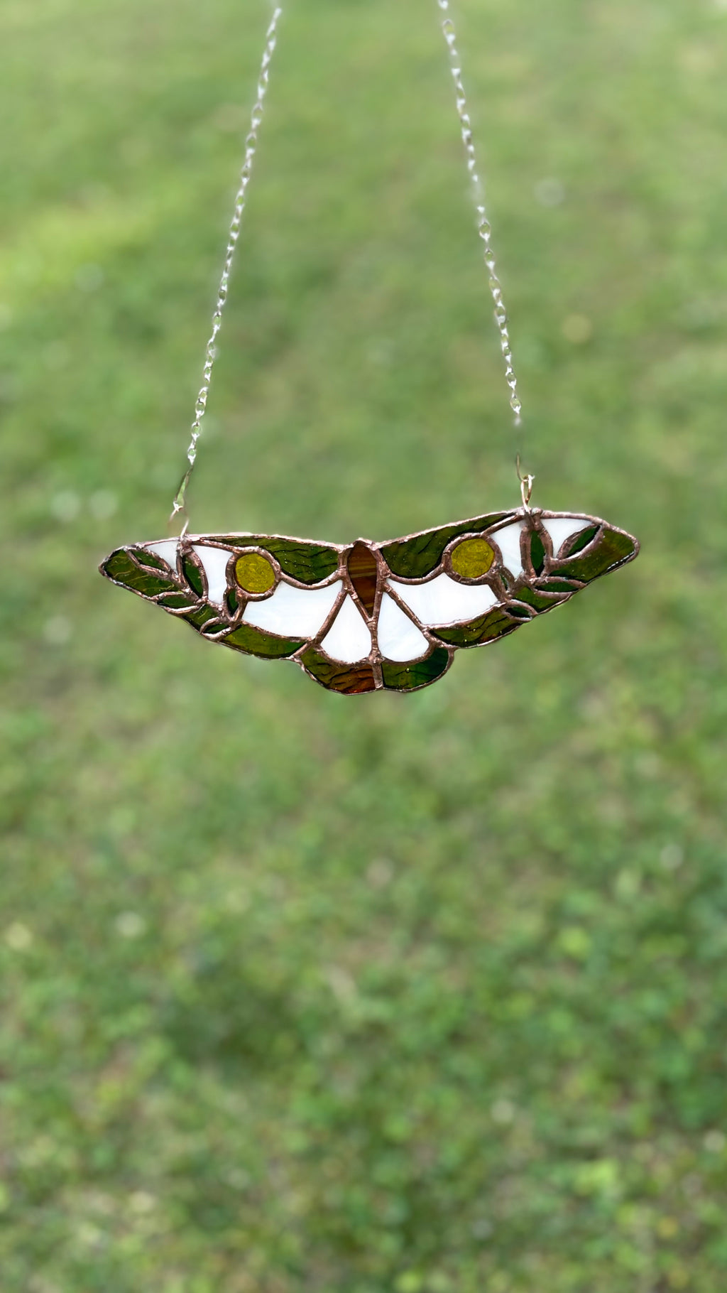 The Moth
