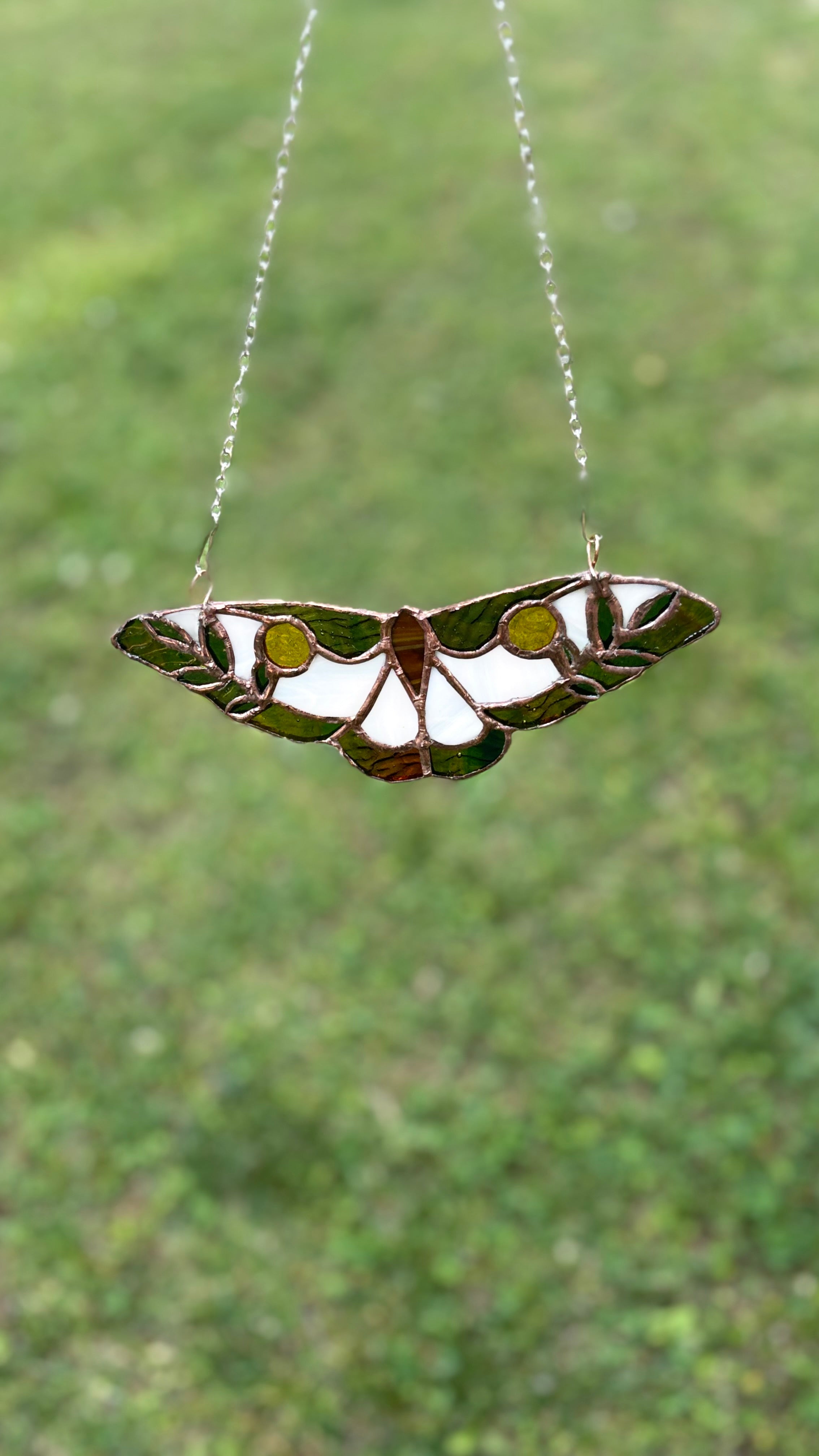 The Moth
