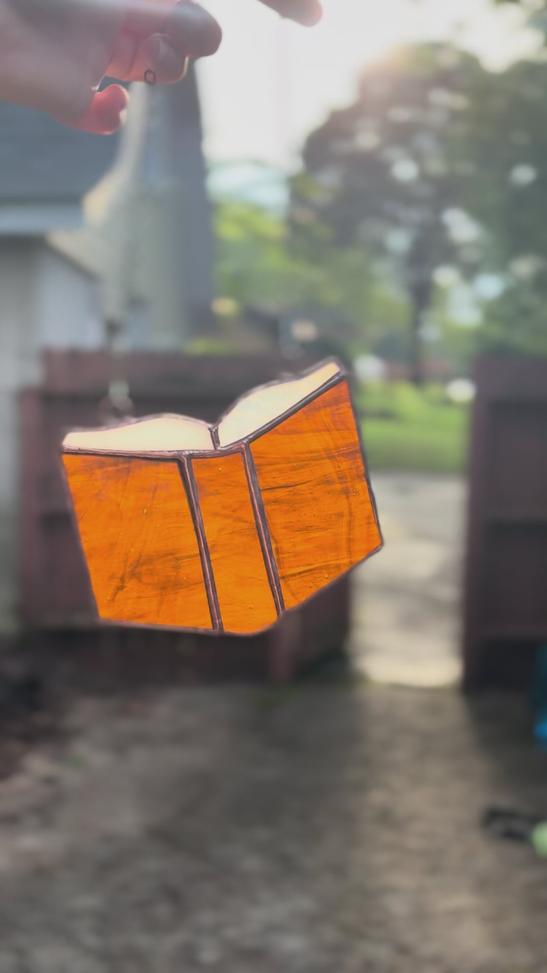 The Little Brown Book